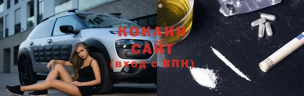 ГАЛЛЮЦИНОГЕННЫЕ ГРИБЫ Верея