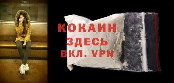 ГАЛЛЮЦИНОГЕННЫЕ ГРИБЫ Верея