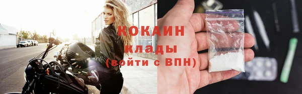 ГАЛЛЮЦИНОГЕННЫЕ ГРИБЫ Верея