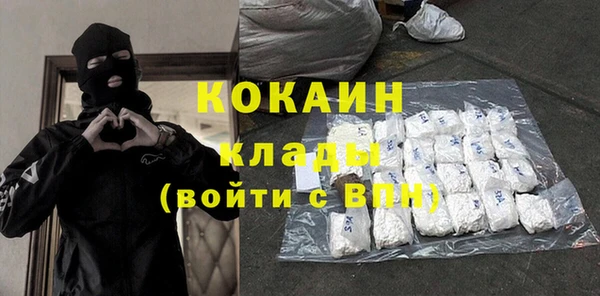 ГАЛЛЮЦИНОГЕННЫЕ ГРИБЫ Верея