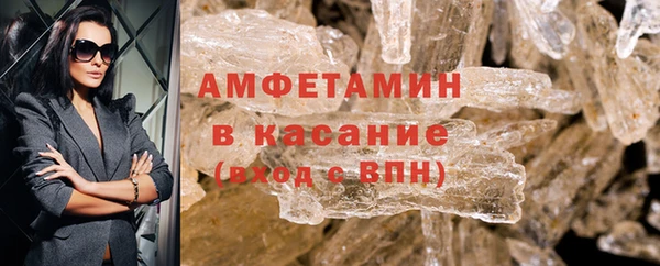 ГАЛЛЮЦИНОГЕННЫЕ ГРИБЫ Верея