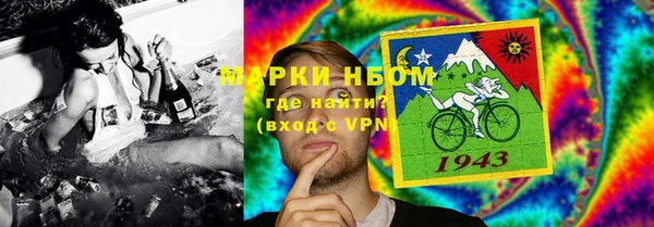ГАЛЛЮЦИНОГЕННЫЕ ГРИБЫ Верея